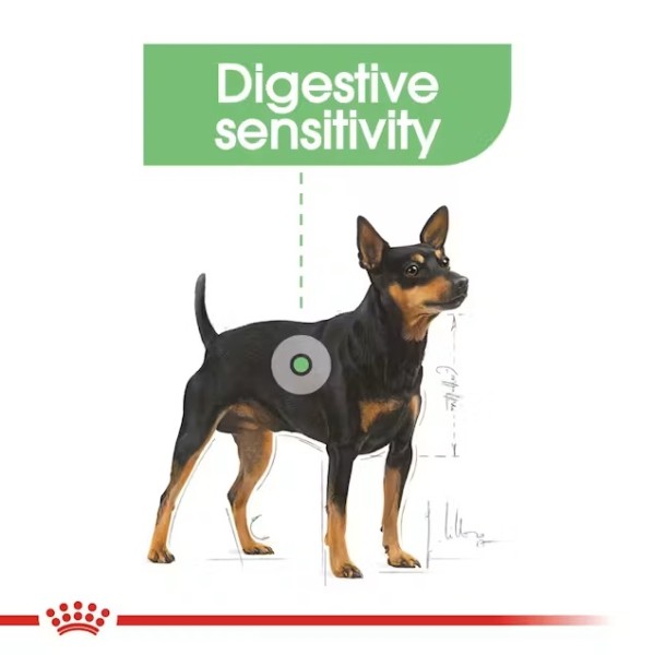 Royal Canin Digestive Care Mini - Суха храна за кучета от дребни породи с чувствителен стомах